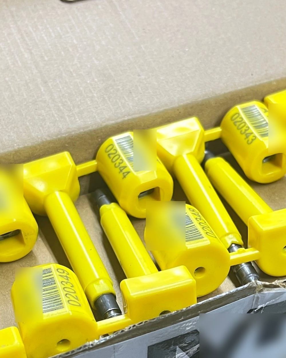 Serialized bolt seals packed in a carton